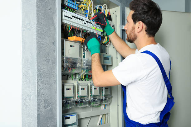 Best Home Electrical Repair  in La Paloma, TX