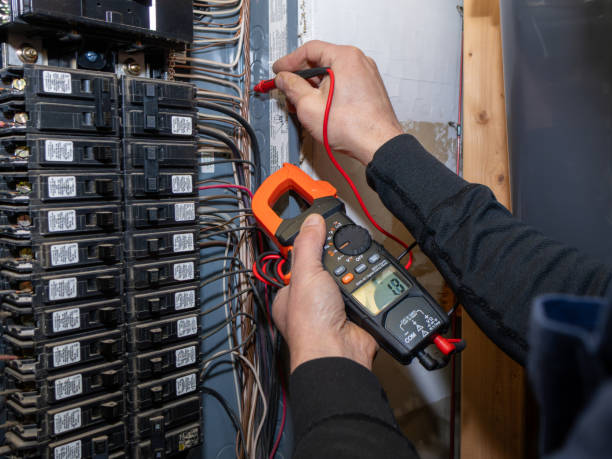 Best Residential Electrician Services  in La Paloma, TX