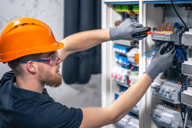Best Local Electrician Companies  in La Paloma, TX